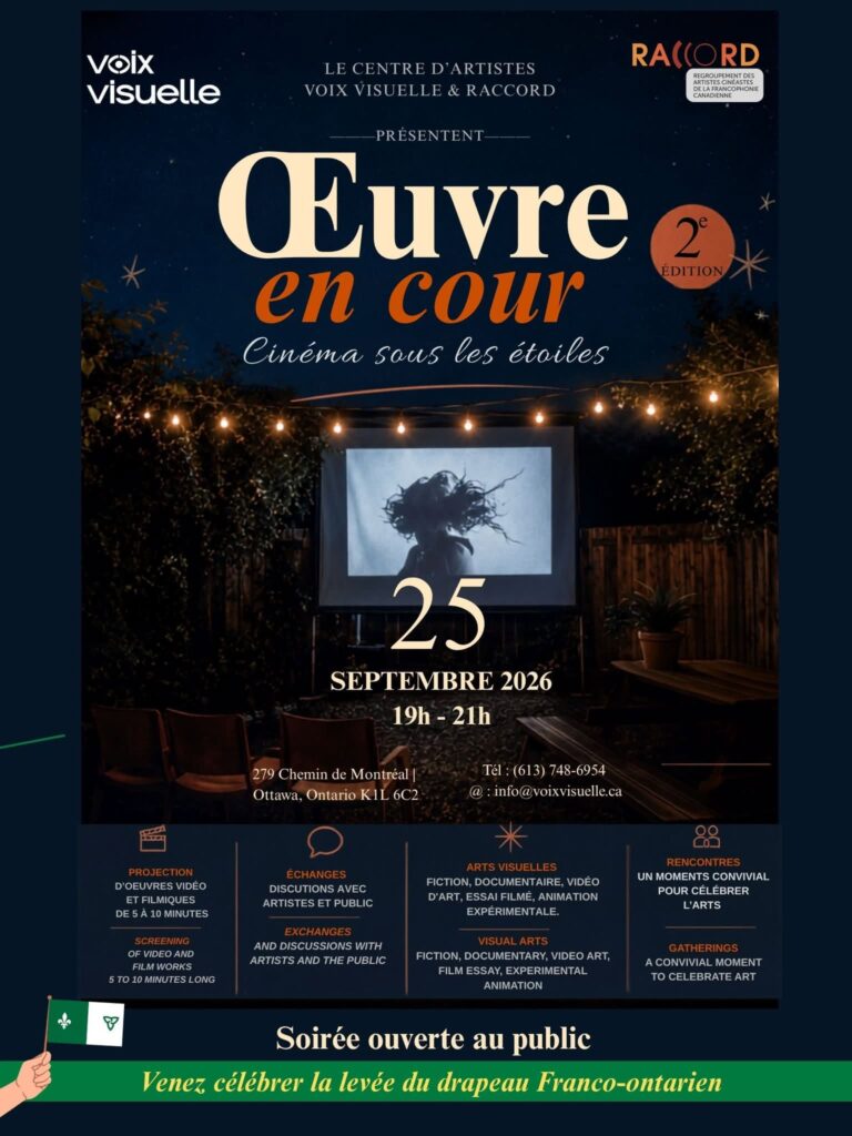 Test – Oeuvre en cour – Cinéma sous les étoiles